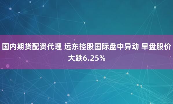 国内期货配资代理 远东控股国际盘中异动 早盘股价大跌6.25%