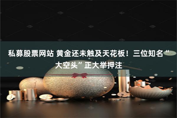 私募股票网站 黄金还未触及天花板！三位知名“大空头”正大举押注