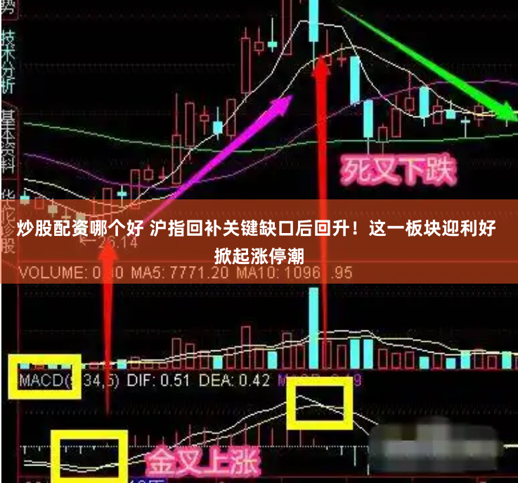 炒股配资哪个好 沪指回补关键缺口后回升！这一板块迎利好 掀起涨停潮