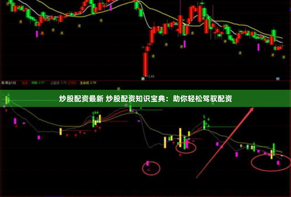 炒股配资最新 炒股配资知识宝典：助你轻松驾驭配资
