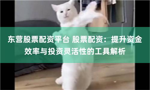 东营股票配资平台 股票配资:提升资金效率与投资灵活性的工具解析