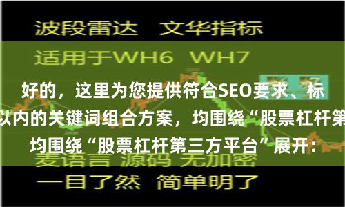 好的，这里为您提供符合SEO要求、标题不重复且均在以内的关键词组合方案，均围绕“股票杠杆第三方平台”展开：