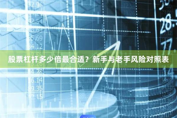 股票杠杆多少倍最合适？新手与老手风险对照表